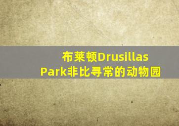 布莱顿Drusillas Park非比寻常的动物园